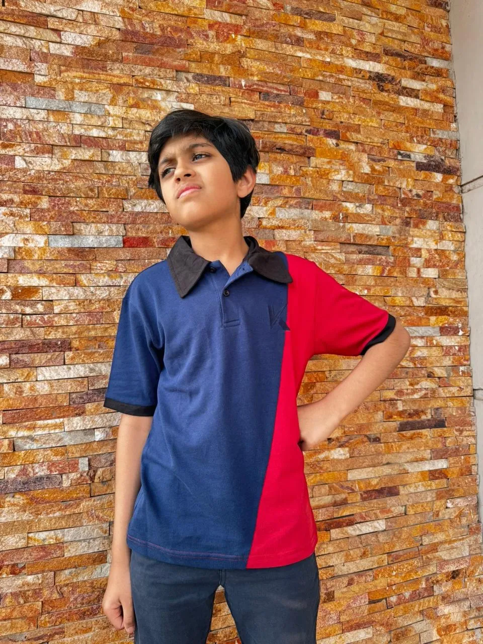 Polo Shirt Red & Navy Blue With Black Collar